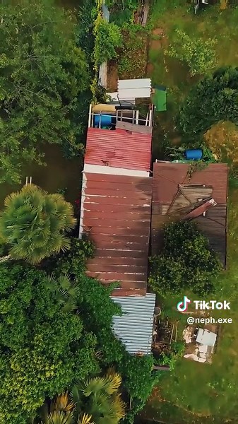 Video di Neph (@neph.exe) con suono originale - Neph