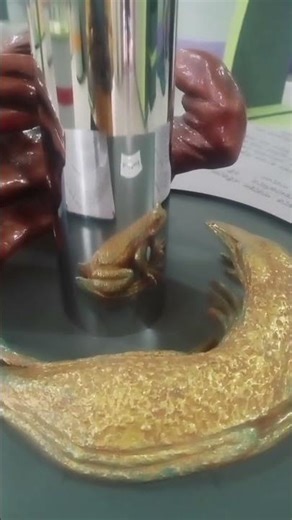 Anamorphosis #science #reflection #image