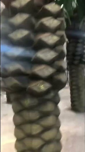 Large tall lifelike palm trees for hotel decor. Supplies by coshinerose. #artificialtree #fauxplant