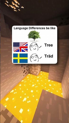 Language Confusion at Its Finest! 😂