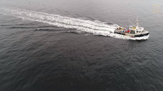 46K views · 240 reactions | The US and Canada share the longest undefended border in the world--but that doesn't mean it comes without conflict. | National Geographic TV | Facebook