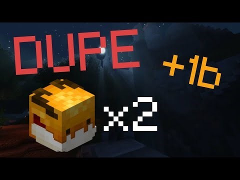 Unpatched Hypixel Skyblock Dupe Glitch (November 2025)