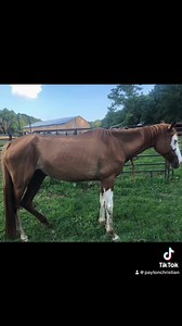 53K views · 2.6K reactions | This video is a bit long, but …. well...