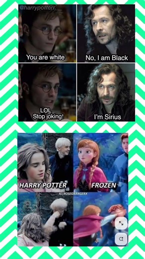When Sirius Black gets misunderstood… AGAIN 😂#shorts #meme #harrypotter #viral