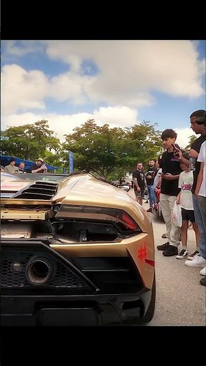 Lamborghini Revs