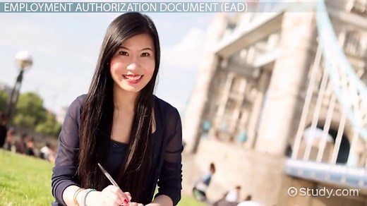 Work Authorization: Laws & Regulations for Non-US Citizens