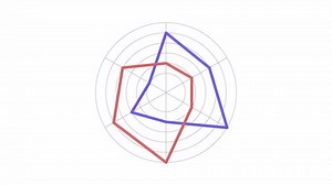 Animated spider chart. Kiviat diagram animation. Moving rectangles. Star plot, data analysis. Colorful illustration on white background. HD video with alpha channel. Motion graphic