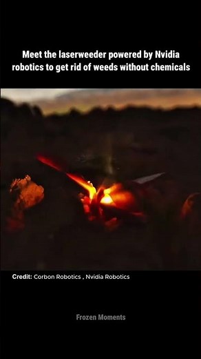 Laser weeder by Nvidia