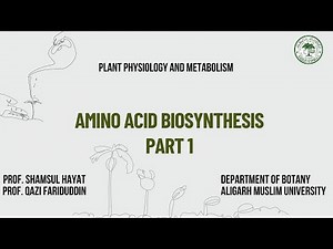 Amino acid biosynthesis Part 1