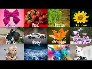 We Love all the Colors | Colors Song for Preschoolers | Nursery Rhymes & Kids Song| #learncolorswith