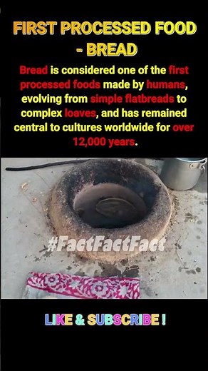 12,000 Years of Bread #bread #first #food