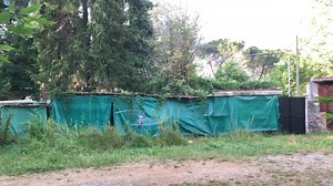 🔥❤️Quick check test before leaving for a new project❤️🔥 Mikado Model Helicopters Scorpion Power System co., ltd. Hobbywing Technology Optipower Europe DryFluids - Schmierstoffe VTX Designs Savox Isdt | Mirko Cesena CesiX