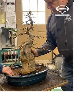 238K views · 3.7K reactions | He's been working on this for over 50 years!  | UNREEL | Facebook