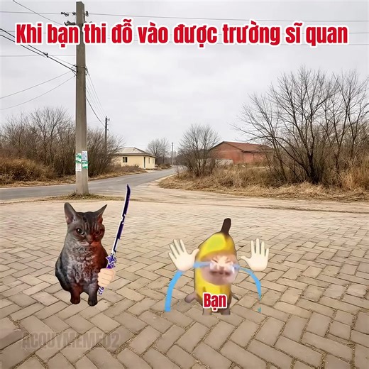 Trường sĩ quan: Những khoảnh khắc hài hước