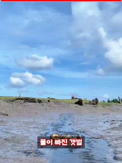 집게발이 아무리 강해도 등 뒤 약점은 못 숨겼습니다 #수중기술 #인도 #탐험