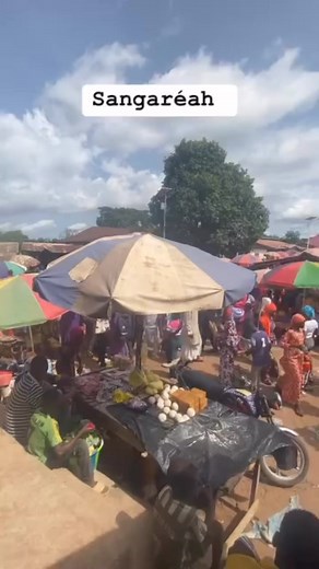 Marché Sangarea #teranga cut by mess | Sangarea KA MEEN TV