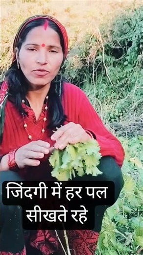 कुछ न कुछ सीखते रहना #funny #vairelsort