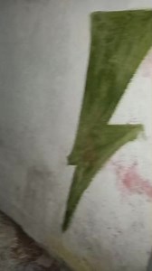 1.3K views · 19 reactions | ✔El Pato y Marcos en Santa Teresita haciendo escudos del trueno Verde. | El Programa "locos Por El Trueno Verde" | Facebook