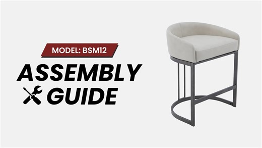 BSM12 Assembly Guide