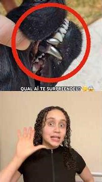 QUAL TE SURPREENDEU?✨🤔🥰🤩 #youtube #youtube