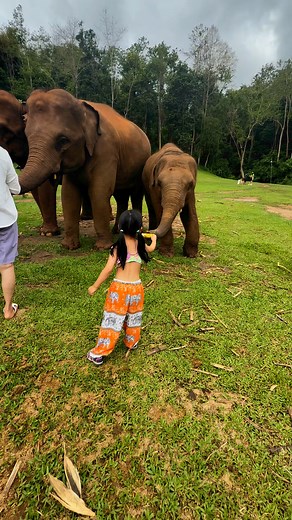 Tawan Riverside Elephant Resort | Bank Mahout