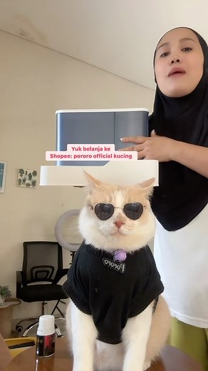 Kucing Pororo | Shopee: pororo official 😘 | Instagram