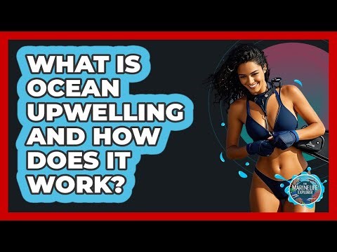 What Is Ocean Upwelling And How Does It Work? - The Marine Life Explorer