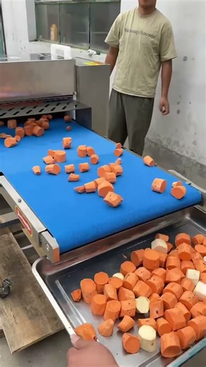 carrot cut machine