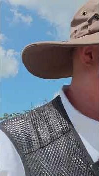 What Happens When You Pet a Kangaroo?