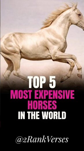 Top 5 Most Expensive Horses in the World 🐎💰 #top5 #thoroughbredhorses #sporthorses