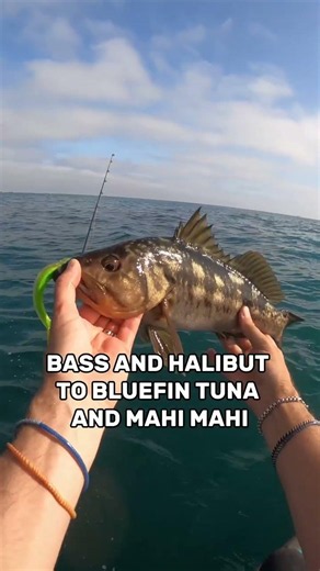 Become a member of Your Saltwater Guide today! Visit yoursaltwaterguide.com