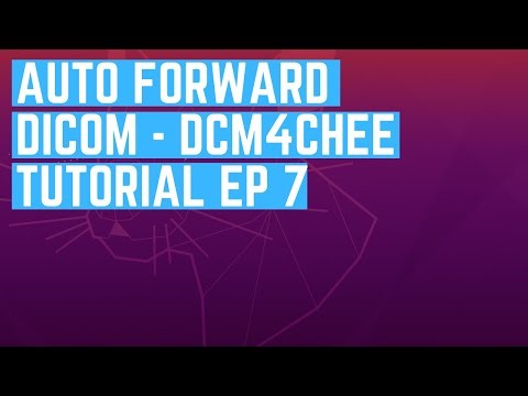 How to Auto-Forward DICOM Studies from dcm4chee to Orthanc | Step-by-Step Exporter Setup