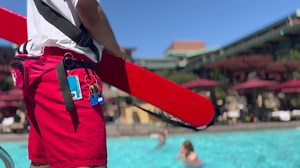 1.1K reactions · 174 shares | Apply today to join our team at the Disneyland Resort in full-time and part-time roles including Food & Beverage, Culinary and more! | Disneyland Jobs | Facebook