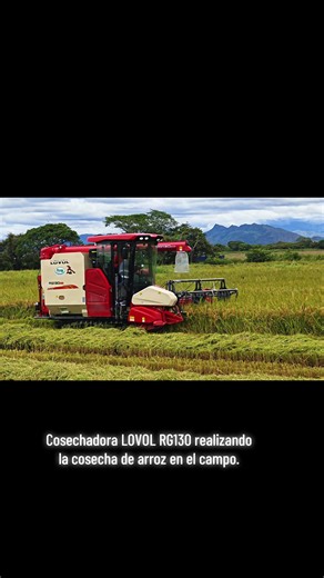 Cosechadora LOVOL RG130 en Acción: Cosecha de Arroz