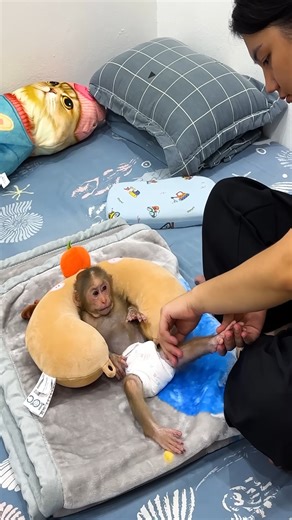 So Lovely! Lala had a jealous expression when Mom took care of Bon the dog #Lala | Lala Update