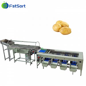 [Hot Item] Potato Grading Machine Potato Picking Table Potato Grading Equipment Potato Processing Line Vegetable Grading Machine