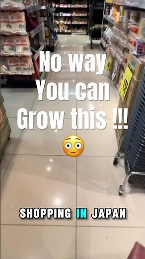 Don’t throw away potato skin! ジャガイモ育ててみた