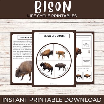 Life cycle of a Bison | Animals science unit study with fun facts!