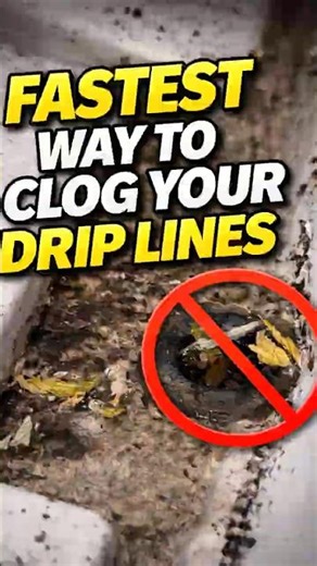 #gardening #homegrown #plantshorts