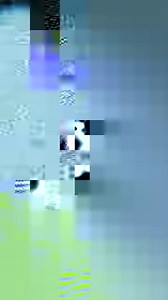 BMW South Africa is extremely proud of our partnership with the Rhino Orphanage. The BMW X3 that drives the Rhino Orphanage’s mobility ensures that they can get to where they need to be, to do their amazing work. | BMW South Africa