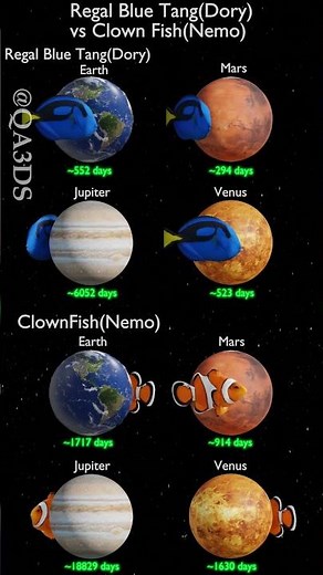 Regal Blue Tang( Dory) vs ClownFish(Nemo). #3dplanet #3d #planet #universe #space #nasa