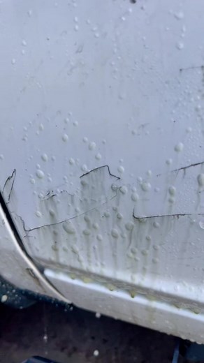 Gorilla Car Care on TikTok