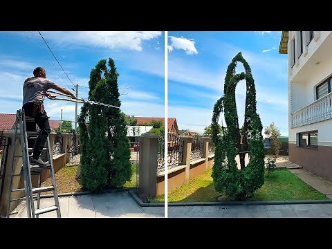 Transform Ordinary Bushes Into Stunning Living Sculptures!