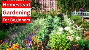 Homestead Gardening for Beginners