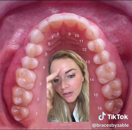 How to Count Your Teeth: A Simple Guide