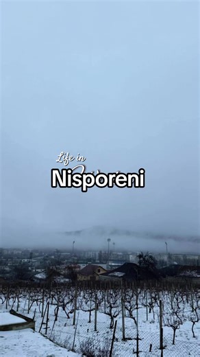 Discovering Nisporeni: Winter Life in Moldova