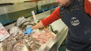 Arrivage du 17 janvier! #poissonnerie #fishmarket | Poissonnerie La Mer