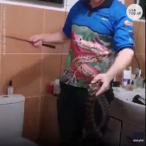 34K views · 5 comments | "You don't belong in here, buddy:" There are a few places we really don't want to find a python and the bathroom is one of them. | USA TODAY Video | Facebook
