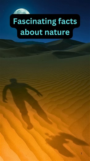 Why do shadows appear in the desert sand at night?