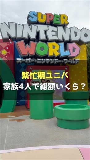How Much Did a Family of 4 Spend at Universal Studios During Peak Season? #UniversalStudiosJapan